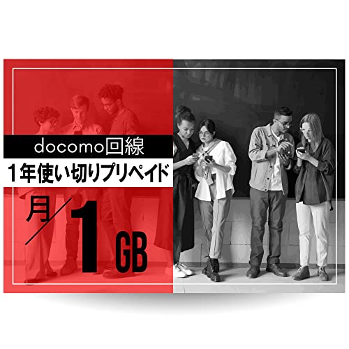 携帯電話アクセサリ 1年 プリペイドsim」の人気商品一覧 | 安い商品を